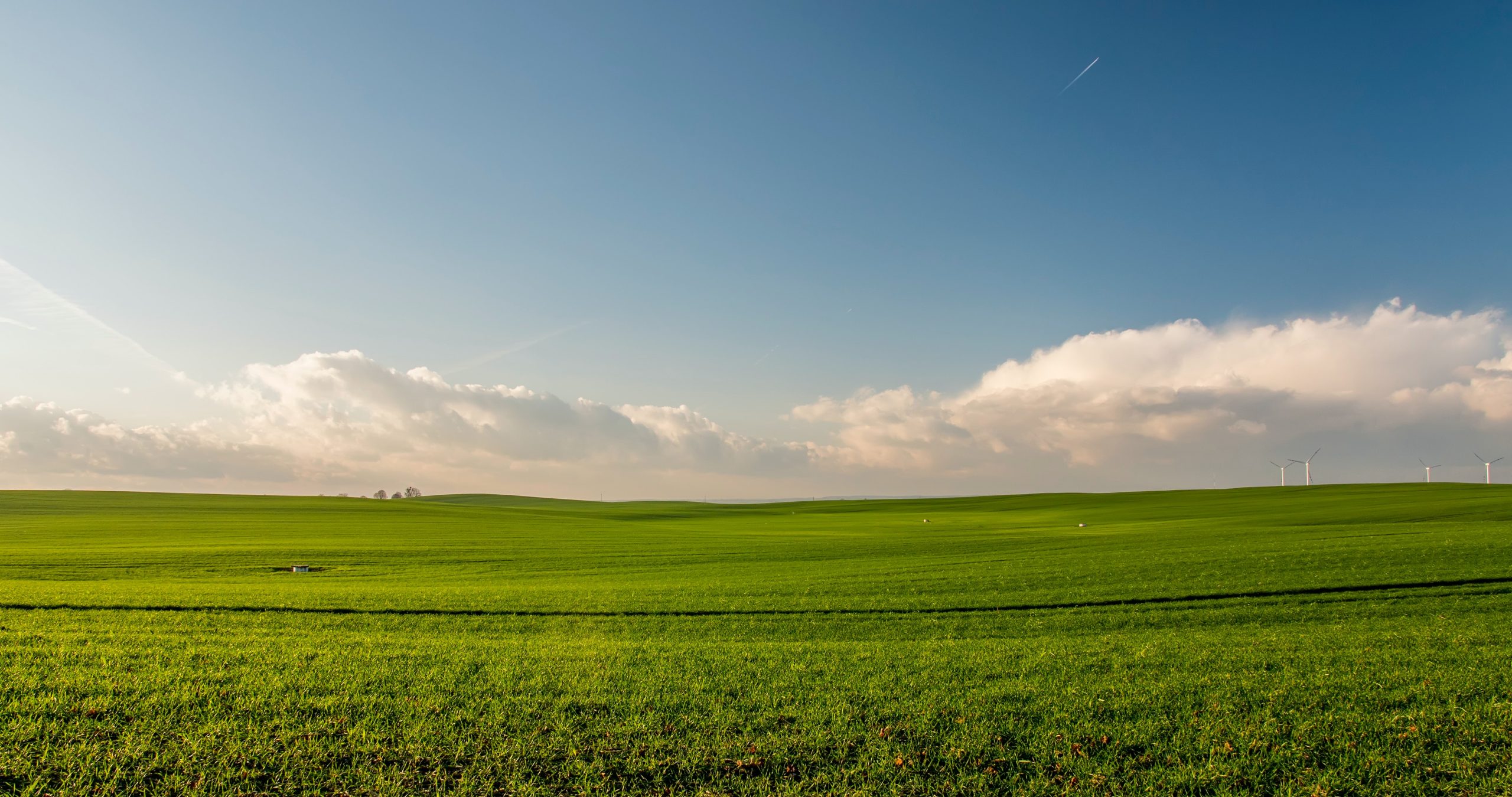How To Get Free Land In Jamaica?