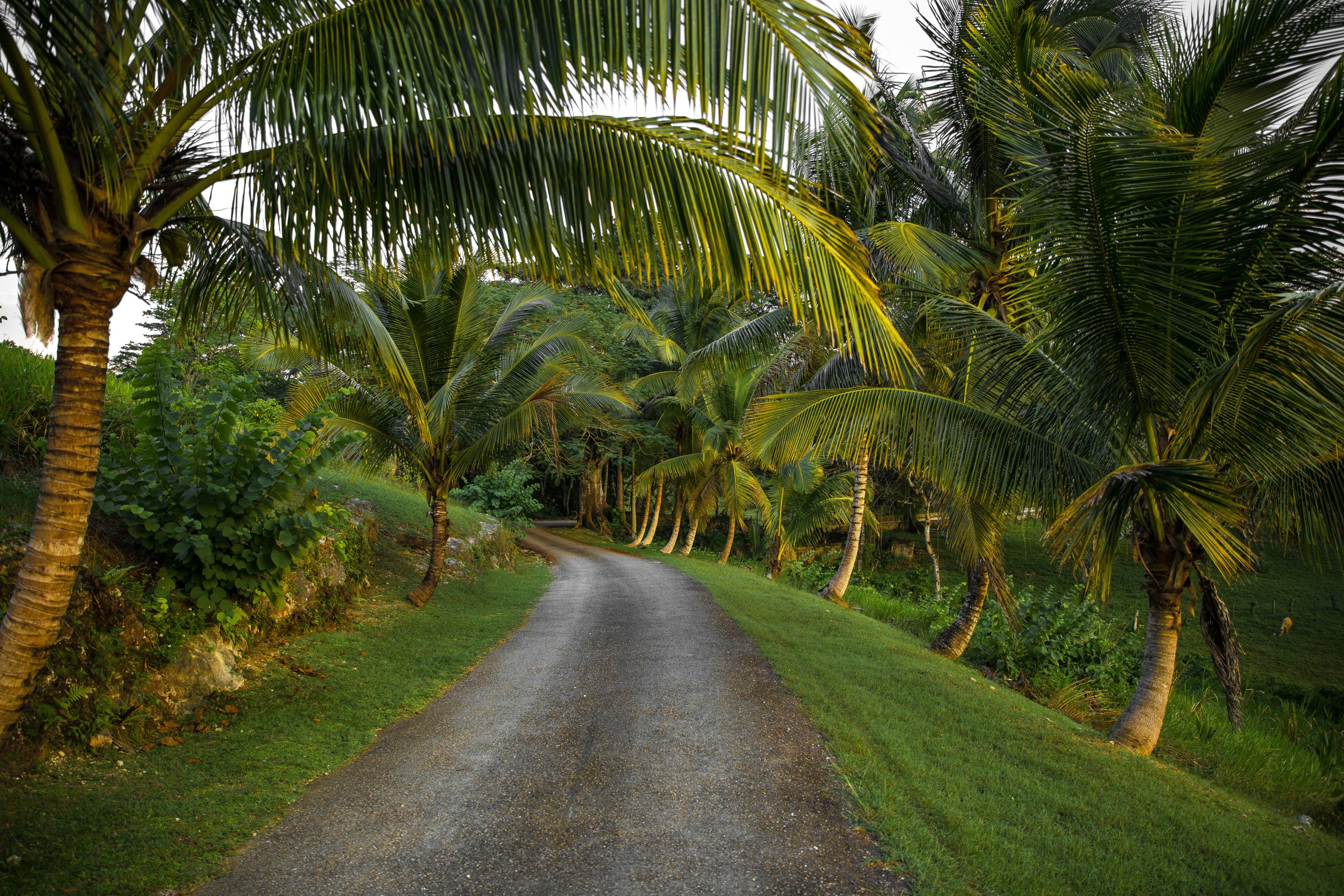 The safest place to live in Jamaica